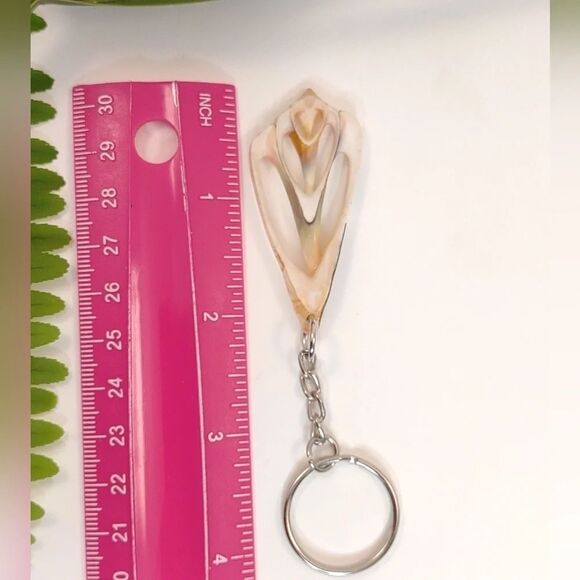 Seashell Keyring Slice Conch Seashell Clearwater Beach, Florida - Picture 10 of 13
